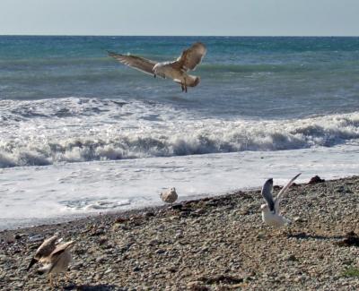 Прикрепленное изображение: DSCF8064.jpg